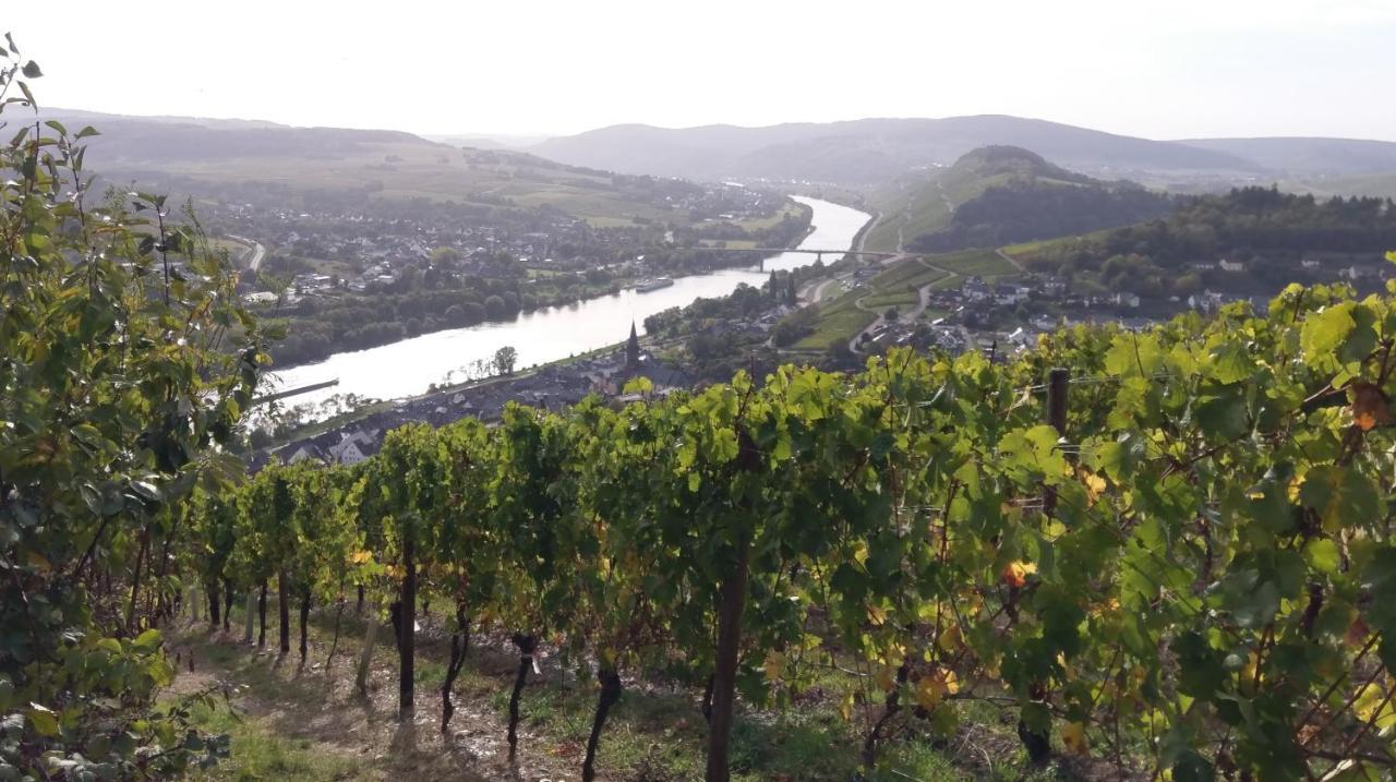 Fewo Sonnenlay - Apartments An Der Mosel Brauneberg Eksteriør bilde