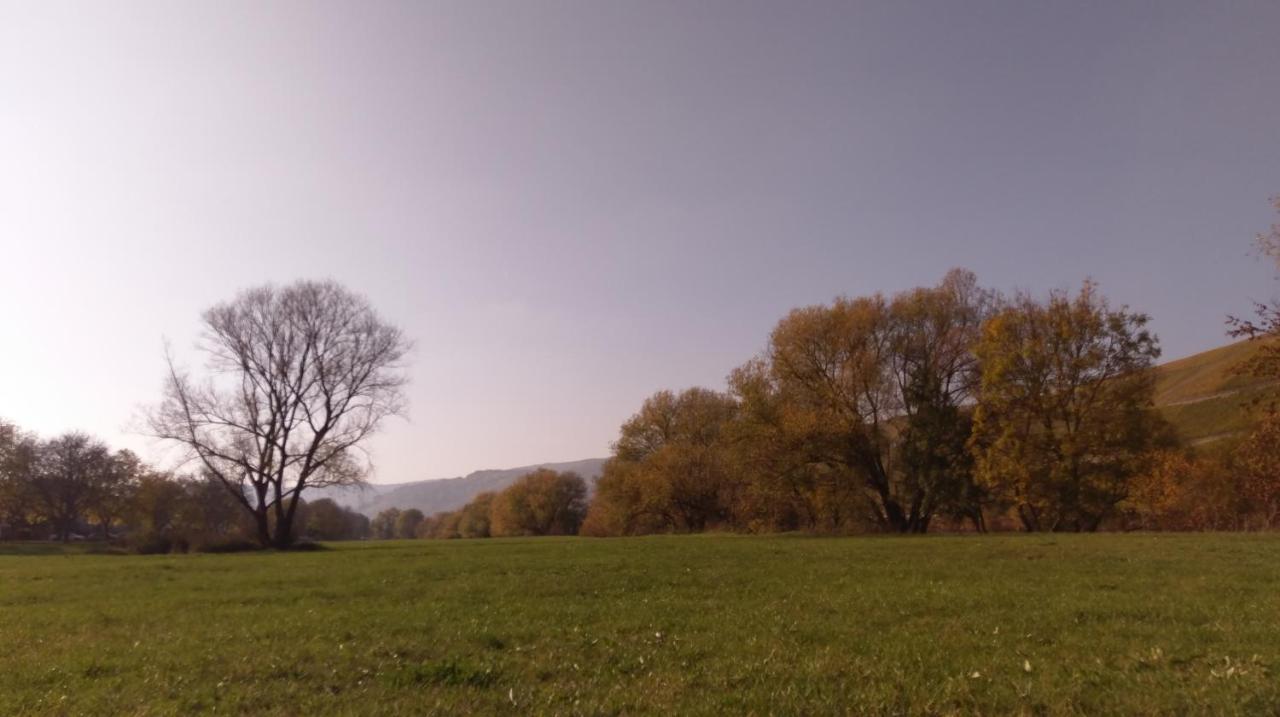 Fewo Sonnenlay - Apartments An Der Mosel Brauneberg Eksteriør bilde