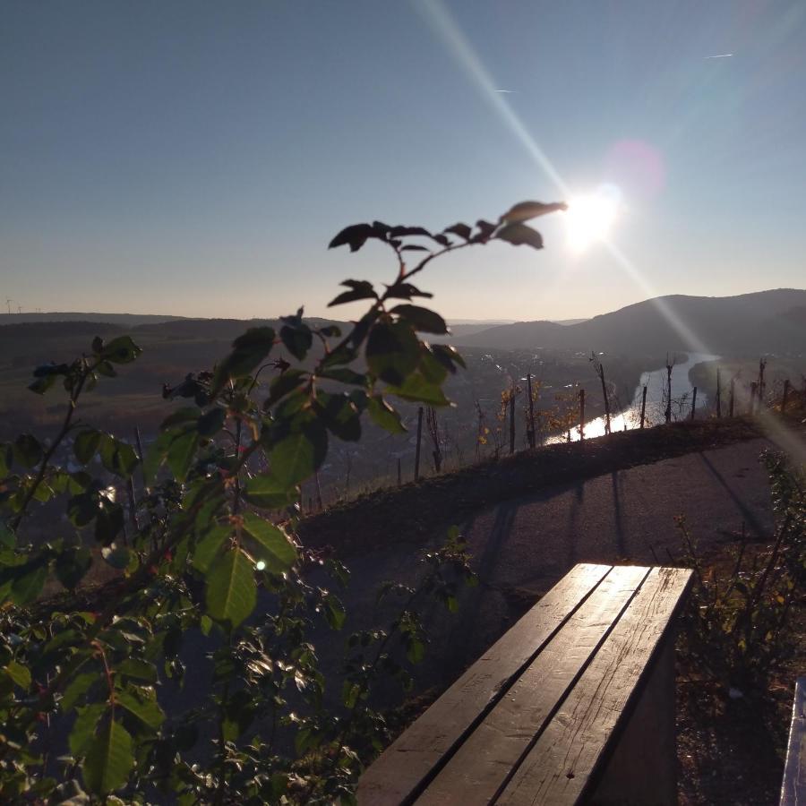 Fewo Sonnenlay - Apartments An Der Mosel Brauneberg Eksteriør bilde