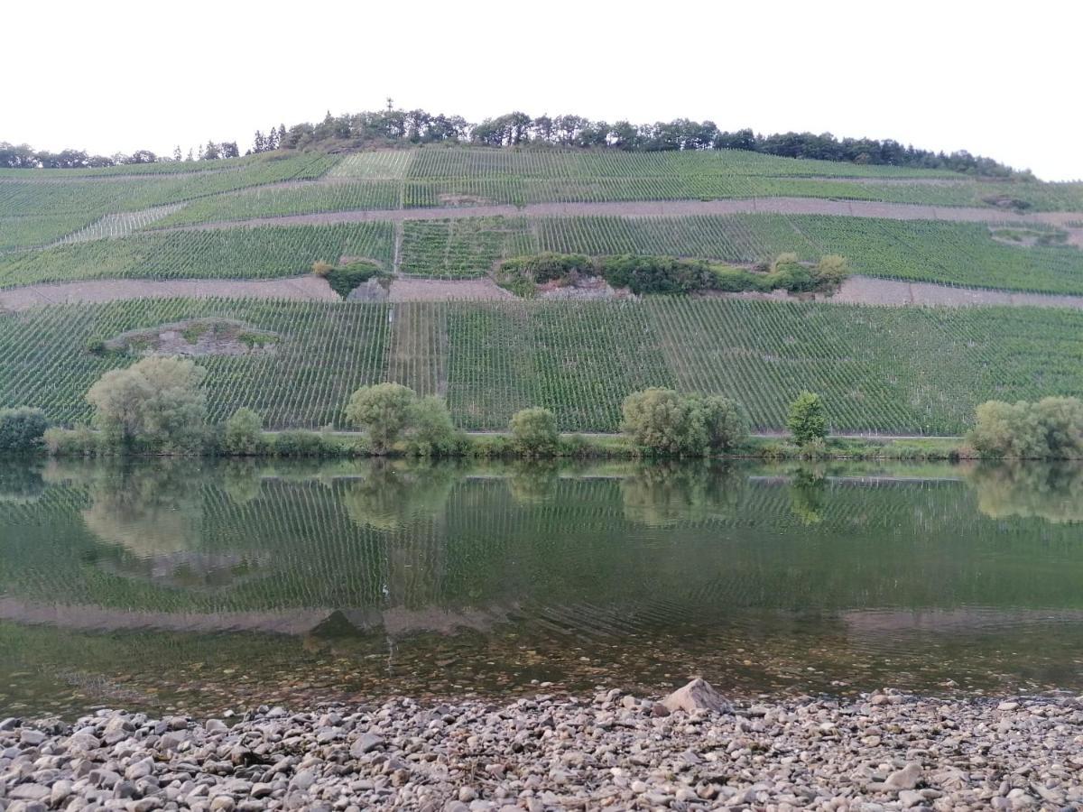 Fewo Sonnenlay - Apartments An Der Mosel Brauneberg Eksteriør bilde