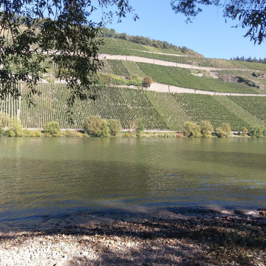 Fewo Sonnenlay - Apartments An Der Mosel Brauneberg Eksteriør bilde