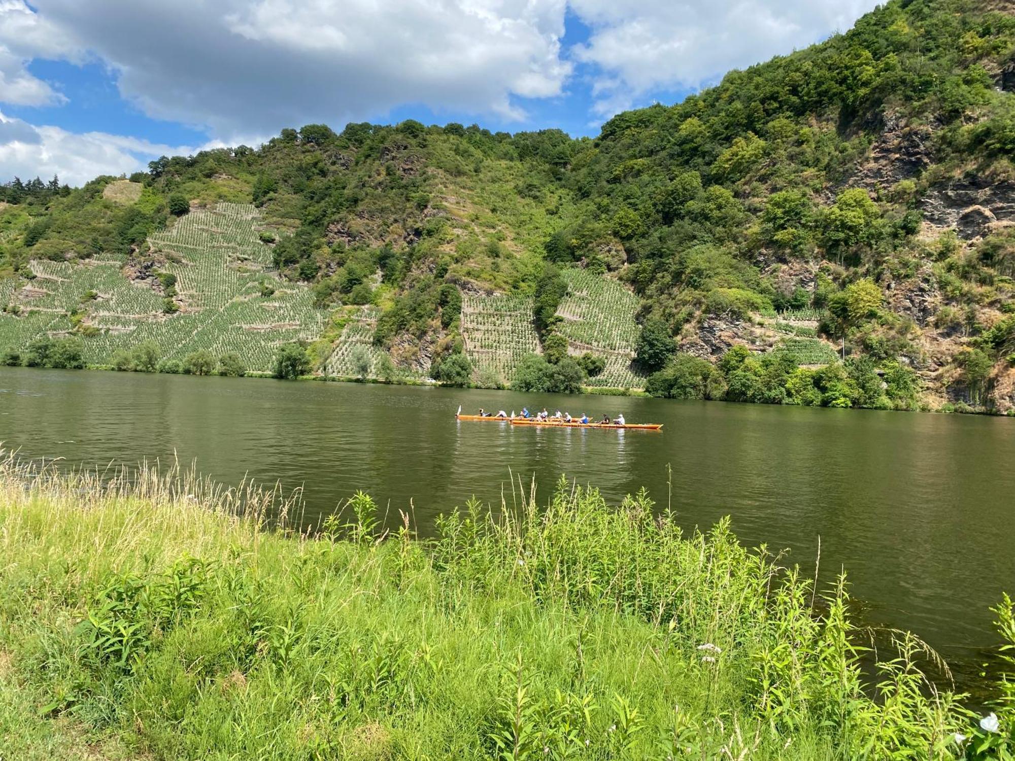 Fewo Sonnenlay - Apartments An Der Mosel Brauneberg Eksteriør bilde